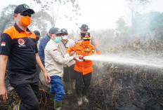 BPBD Provinsi Jambi Ungkap Penyebab ISPU Tinggi di Tebo, Total Luas Karhutla 954 Hektare