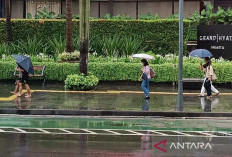 Hari Ini, BMKG Prakirakan Mayoritas Kota Besar Alami Hujan Ringan