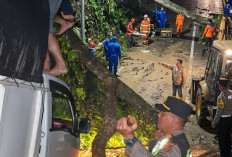 Longsor dan Pohon Tumbang di Jalur Sungai Penuh–Tapan, Akses Truk Masih Terhambat