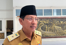 Beras Premium 5 Kg Langka di Jambi, Kadis Ketahanan Pangan Johansyah Ungkap Penyebabnya