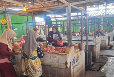 Harga Sejumlah Bahan Pokok di Kota Jambi Naik, Ayam Tembus Rp 48 Ribu Per Kilo