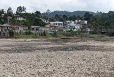 Danau Kerinci Terus Menyusut Parah, Sawah Kekeringan dan Nelayan Kehilangan Tangkapan