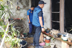 Kebakaran Hebat di Mendalo Asri, Pemilik Rumah Tewas Terpanggang