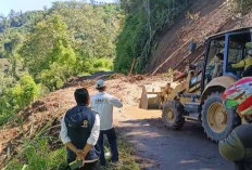 Longsor di Jalan Bukit Tirai Embun Kerinci, Akses Sempat Lumpuh, PUPR Turunkan Alat Berat
