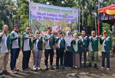 Revitalisasi, Bupati Pasaman Barat dan PTPN IV Regional IV Hijaukan Hutan Kota