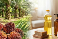 Kelapa Sawit Hadir di Berbagai Produk Harian dari Kamar Mandi Hingga Bahan Bakar