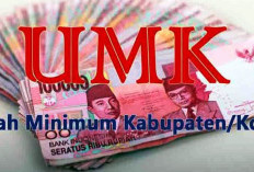 UMK Tanjabtim 2026 Ditetapkan Rp3,48 Juta