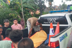 Pemotor Tewas Ditabrak Truk Sawit Ugal-ugalan di Jalan Jambi–Sengeti