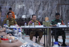 Ratusan Hektare Tahura di Batang Hari, Gubernur Al Haris Minta Pemadaman dari Darat dan Udara