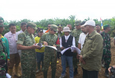 Pastikan Percepatan Program Ketahanan Pangan, Danrem 042/Gapu Tinjau Cetak Sawah Rakyat di Tebo