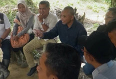 Region Head PTPN IV Regional IV Tinjau Kebun Bukit Kausar, Pastikan Keamanan dan Kualitas Produksi Terjaga