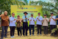 PTPN IV PalmCo Uji Coba Serangga Penyerbuk Asal Afrika di Simalungun untuk Genjot Produksi Sawit