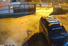 Aksi Begal Terekam CCTV di Simpang Rimbo, Korban Kehilangan Motor dan Ponsel