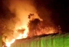 Lahan Kosong di Sungai Landai Terbakar, Damkar Habiskan 4.000 Liter Air