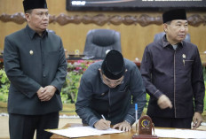 Bupati dan Wabup Tanjab Barat Hadiri Penandatanganan Nota Kesepakatan Perubahan KUA-PPAS APBD 2026