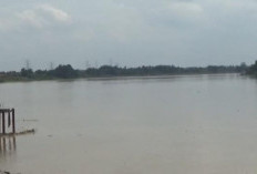  Debit Sungai Batanghari Naik, Bupati Muaro Jambi Imbau Warga Waspada Banjir