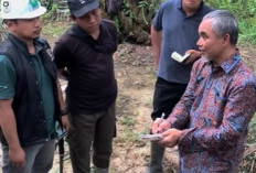 Sambut Semester II, Region Head PTPN IV Regional IV Pacu Produksi Kebun Tanjung Lebar