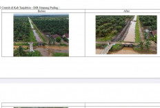 RAMPUNG, Rehabilitasi Jaringan Utama DI BWSS VI Jambi milik Dinas PU dengan Luasan Capai 5.050 Ha Sepanjang 11