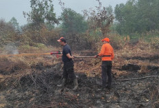 245,635 Hektare Lahan Terbakar di Tanjabtim, 252 Hotspot Terdeteksi
