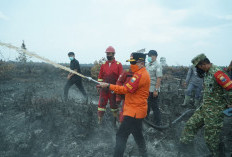 Gubernur Al Haris Berjibaku Padamkan Karhutla di Muaro Jambi, Dorong Masyarakat Manfaatkan Program PLTB