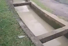 Air Dam Alam Kemang Keruh Akibat PETI, Ratusan Masyarakat Terancam Krisis Air Bersih