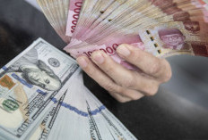 Dampak Dolar terhadap Kehidupan Masyarakat