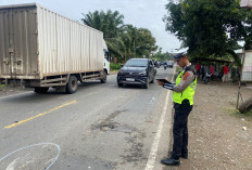 Kecelakaan Maut di Jalan Jambi-Merlung, Truk Box Tabrak Sepeda Motor Pelajar, Satu Tewas