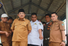Bupati Anwar Sadat Turun Lapangan, Instruksikan Perbaikan Cepat Dermaga Ambruk di Tanjung Senjulang