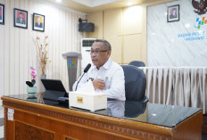 Daging Ayam Ras Jadi Pemicu Utama Terjadinya Inflasi 