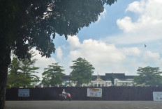 Patung Pahlawan Sultan Thaha Akan Dibangun Ulang Lebih Bagus Di Depan Kawasan Kantor Gubernur Jambi 