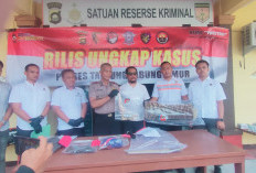 Beli Lewat Medsos, Pria di Tanjabtim Simpan dan Diduga Jual Kulit Harimau Sumatera
