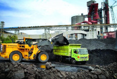 Harga Batubara Acuan Periode Pertama Agustus 2026 Ditetapkan USD 124,44 per Ton, Turun 5,62 Persen