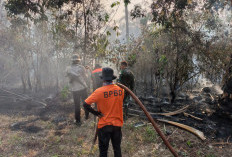 168 Hektare Luas Lahan Terbakar di Batang Hari, BPBD Imbau Masyarakat Kurangi Aktivitas di Luar