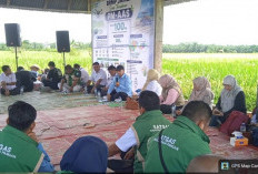Pemkab Tanjab Barat Percepat Modernisasi Pertanian dan Perkuat Ketahanan Pangan