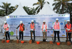 Dukung Hilirisasi Ayam Terintegrasi Perkuat MBG, PTPN IV PalmCo Siapkan Lahan