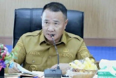 Dorong Pertumbuhan Ekonomi, Wako Sungai Penuh Alfin Perjuangkan Fly Over 18 Km Tembus TNKS Tanpa Babat Hutan