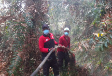 PTPN IV PalmCo Terjunkan Personel dan Teknologi Terpadu Atasi Karhutla di Riau hingga Kalimantan