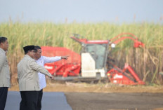 Indonesia Targetkan Swasembada Gula Dipercepat dalam Dua Tahun
