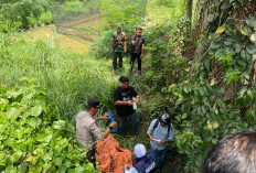 Warga Tanjung Lumut Dikejutkan Penemuan Mayat di Bawah Jembatan