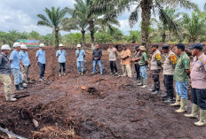 Dukung Ketahanan Pangan, PT Kaswari Unggul Tanam Jagung Pakan Bersama Polsek Geragai