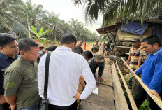 Polres Muaro Jambi Cek TKP Dugaan Pencurian Sawit Betung, Muncul Fakta Lahan Masuk Kawasan Hutan