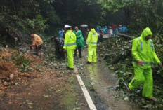 Korban Meninggal Dunia Bencana Alam di Sumut Bertambah Menjadi 330 Orang