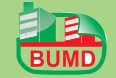 Penunjukan Direktur BUMD Muaro Jambi Disorot, Seleksi Minim Transparansi dan Diduga Sarat Kepentingan Politik