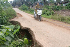 Jalan Provinsi Jambi di Perbatasan Sumbar Terancam Putus