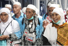 Fase Gelombang I Selesai, Fokus Pemulangan Jemaah Haji Indonesia Kini Bergeser Penuh ke Madinah