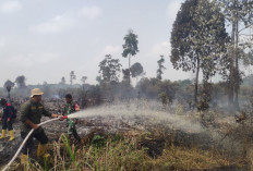 15 Hektare Lahan Gambut di Kabupaten Tanjab Barat Terbakar 
