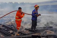 Kebakaran di Sungai Bertam, Kandang Ayam Dua Lantai Ludes Dilalap Si Jago Merah