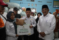 Gubernur Al Haris Tinjau Korban Kebakaran di Tanjab Barat, Serahkan Bantuan dan Ajak Gotong Royong