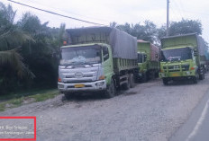 Membandel, Truk Angkutan Batu Bara Tetap Beroperasi Meski Dilarang