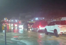 WALHI: Banjir Kota Jambi Akibat Pembangunan Abai Lingkungan